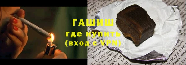 крисы Бородино