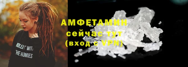 гидра Верея