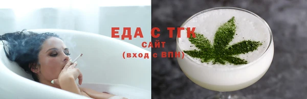 крисы Бородино