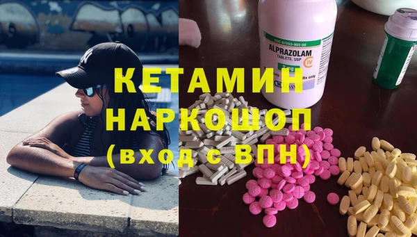 крисы Бородино