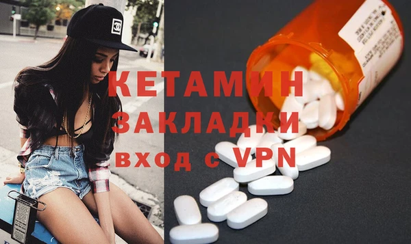 крисы Бородино