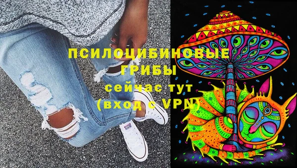 гидра Верея