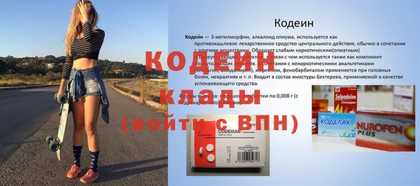 крисы Бородино